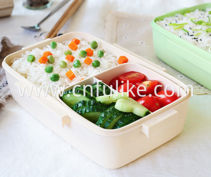 Lunch Box For Adults